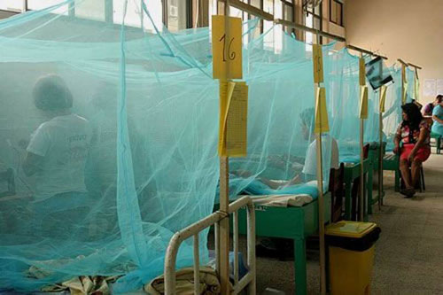 Malati di malaria in letti appositamente protetti da zanzariere in un ospedale.