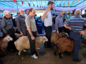Post contro la vendita di agnelli nella festa del sacrificio, aggredito 