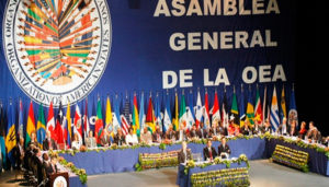 Luis Florido: Carta Democrática de la OEA “no está en reposo”