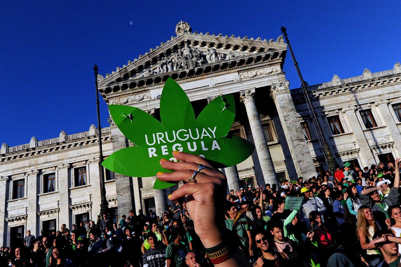 Marihuana, Uruguay