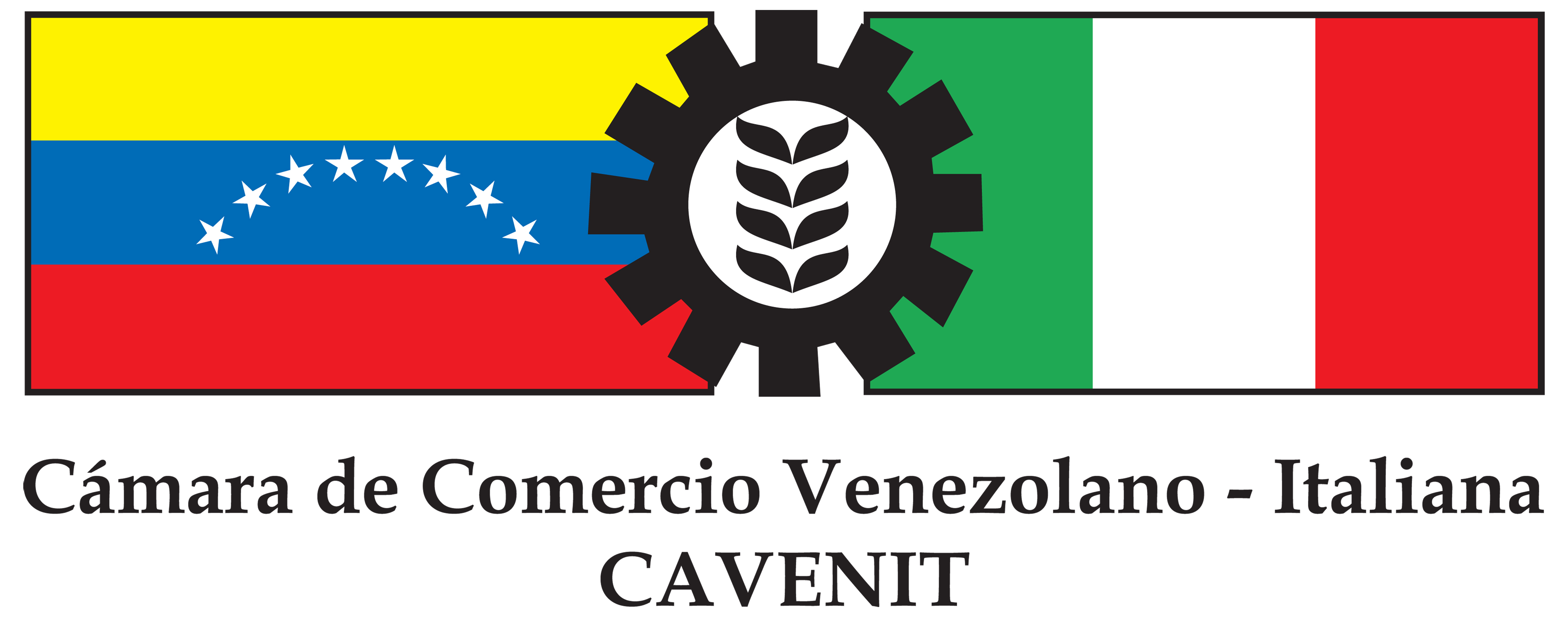 En el CSIV de Valencia se realizó el foro "Venezuela en el Escenario Económico Nacional e Internacional" organizado por Cavenit-Valencia