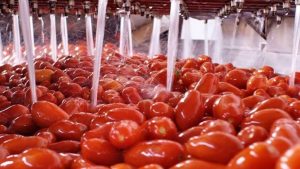 Prodotti agricoli, dovrà essere indicata la provenienza dei derivati del pomodoro