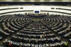 El Parlamento Europeo rechazó el anuncio realizado por la presidenta del CNE, Tibisay Lucena, sobre la realización de las presidenciales para el 22 de abril.