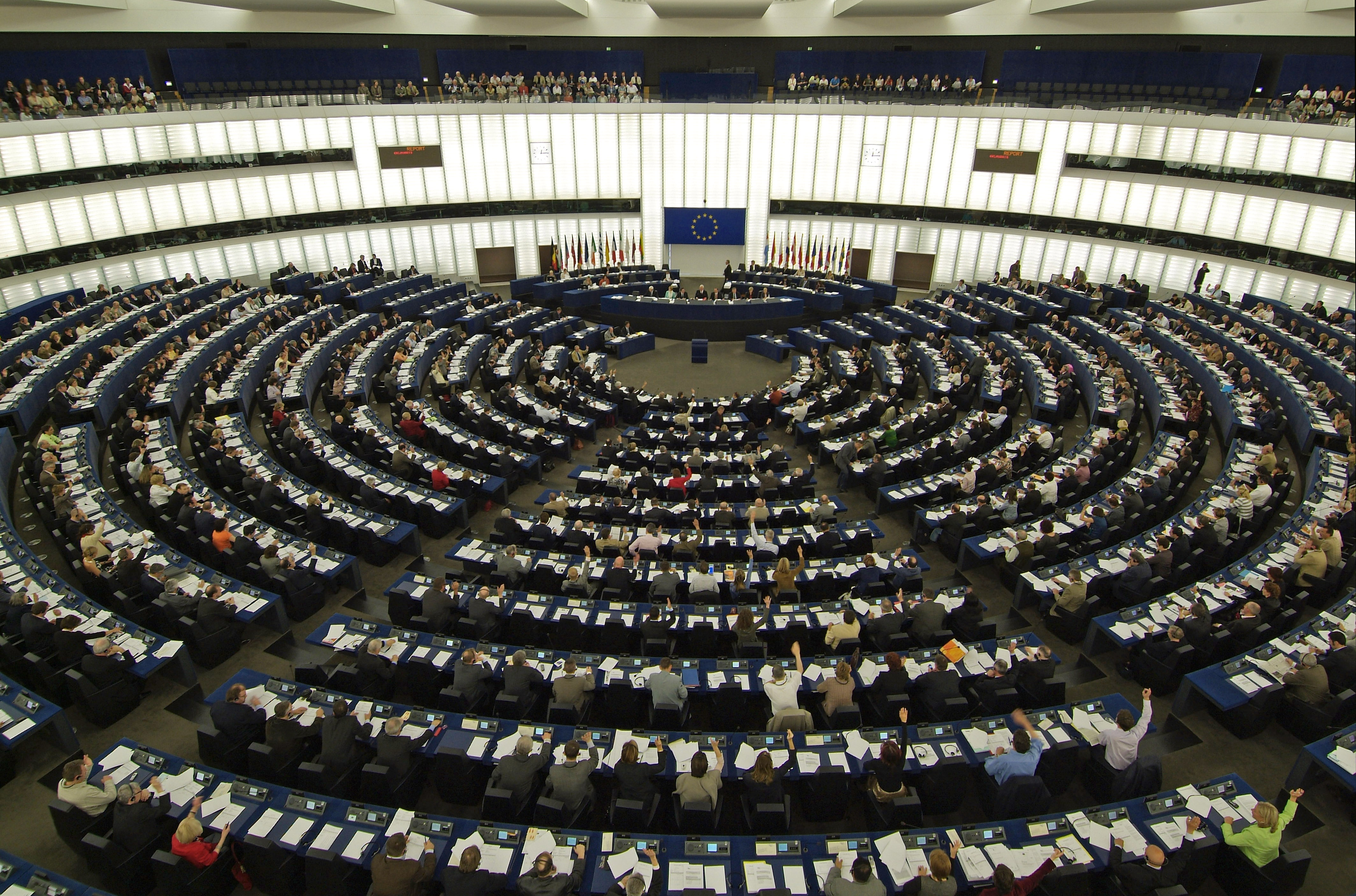 El Parlamento Europeo rechazó el anuncio realizado por la presidenta del CNE, Tibisay Lucena, sobre la realización de las presidenciales para el 22 de abril.