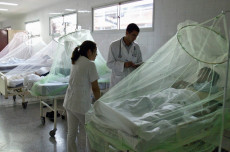 Pedro Alonso, director del programa contra la malaria de la Organización Mundial de la Salud (OMS) está preocupado por las cifras en Venezuela.