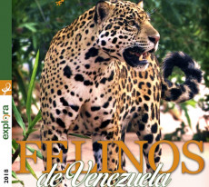En la portada de revista Explora está retratado un tigre venezolano