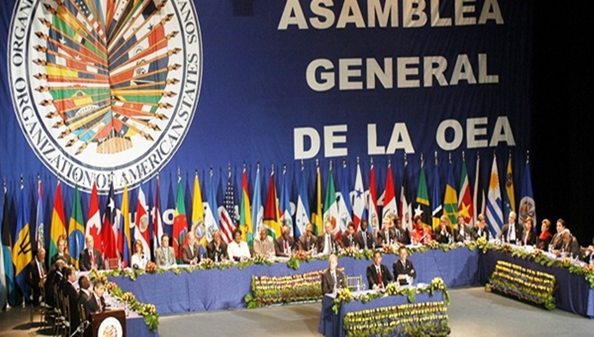 L'Assemblea Generale dell'Osa