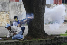 Alcuni manifestanti si riparano dietro un albero