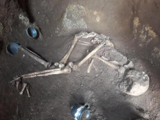 Tomba dell'atleta: lo scheletro e il corredo funerario.