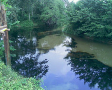 El rio Guarapiche del Estado Monagas, fue el afectado de recibir el derrame gracias a una fuga de tratamientos de los tanques 1201 y 1202
