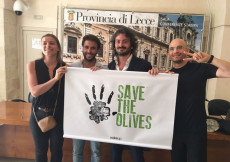 Presentata a Lecce l'associazione "Save the Olives", i promotori innalzano il logo dell'associazione