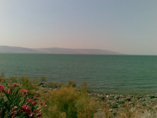La panoramica di un lago con uno scorcio della riva