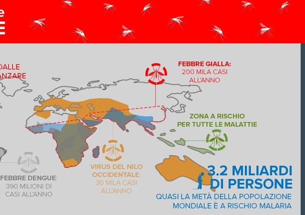 Una mappa del mondo con zone rosse dove è più diffusa la zanzara