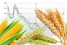 Spighe di grano e sullo sfondo i grafici degli andamenti dei prezzi.