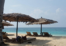 Una spiaggia solitaria con due ombrelloni di palme.