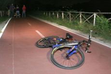 Bicicletta a terra in una pista ciclabile.
