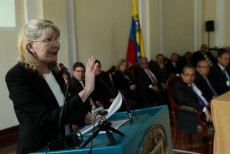 Ortega aboga por la modificación del artículo 333 para impedir por un lapso de cinco años, que la Carta Magna de Venezuela sea reformada, sustituida o pierda vigencia.