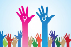 Parità di genere, mano rosa con il simbolo di donna e mano azzurra con il simbolo di uomo.