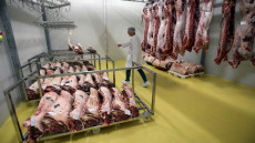 Según el viceministro los dueños de los mataderos iniciaron un boicot después de la congelación de los precios, lo que ha generado la escasez de carne en el mercado venezolano.