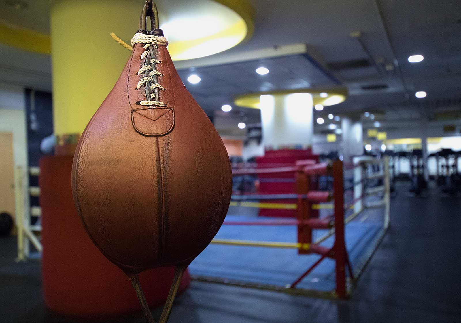 Boxeo, un deporte integral. Gold’s Gym