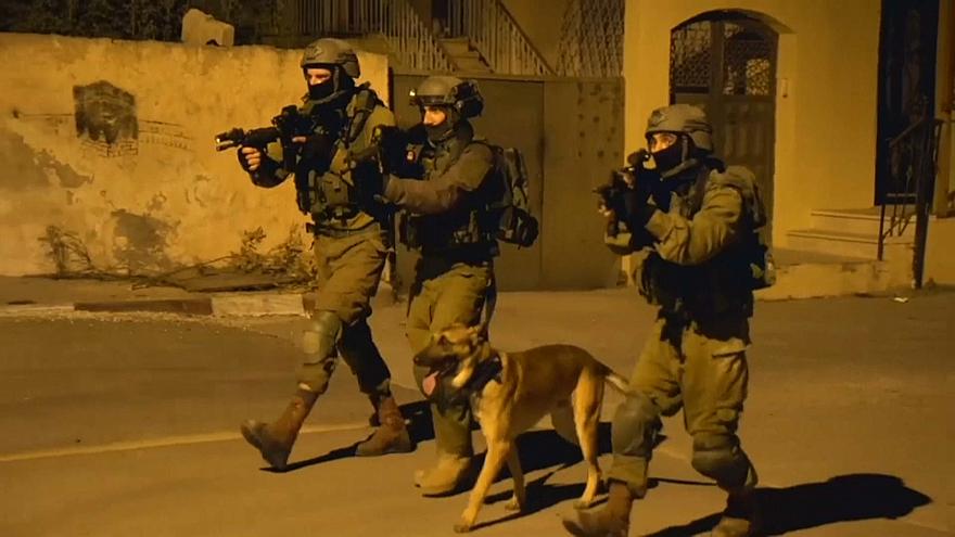 Una pattugio di soldati israeliti con un cane. Cisgiordania