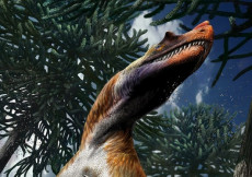 Ricostruzione del dinosauro ritrovato in Lombardia.