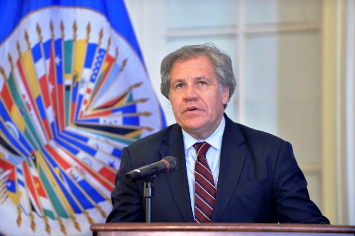 Luis Almagro, Secretario General de la Organización de Estados Americanos (OEA)