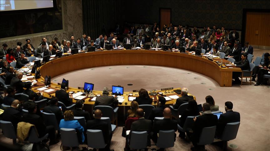 Consejo de Seguridad de la Organización de las Naciones Unidas (ONU).