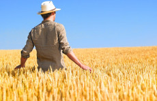 Un giovane agricoltore in mezzo ad un campo di grano.
