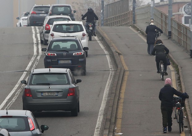 Automobili e biciclette su una strada cittadina