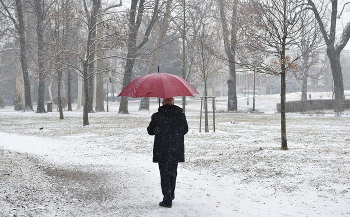 Un uomo camminando in un parco sotto i primi fiocchi di neve.