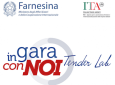 Logo dell'iniziativa della Farnesina “In Gara con Noi-Tender Lab”