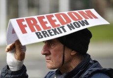 Un manifestante con un cartello di protesta "Freedom Brexit Now".