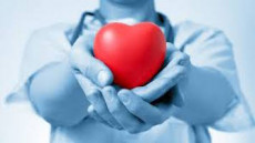 Donazione organi: l'immagine di un cuore rosso tra le mani di un dottore.