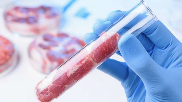 Biotech: carne in provetta