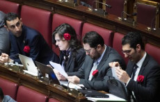 Deputati del Movimento 5 stelle indossano una rosa rossa nel corso della discussione alla Camera sul decreto legge sulla violenza sulle donne. Castrazione