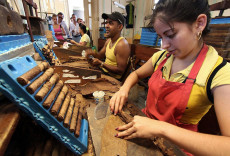 Cuba: Lavoratori cubani nell'industria dei sigari.