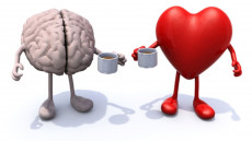 Cerebro vs Corazón