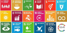 La tabella degli obietti dello sviluppo sostenibile