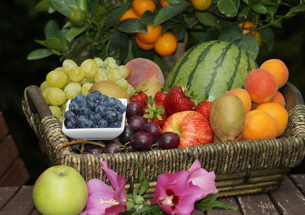 Un canestro con frutta e prodotti dell'agricoltura italiana.
