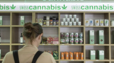 Scaffale di un negozio con prodotti derivati dalla cannabis.