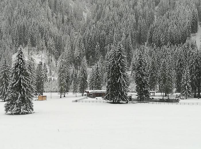 Ancora inverno: La neve che sta cadendo a Falcade, sulle Dolomiti bellunesi.