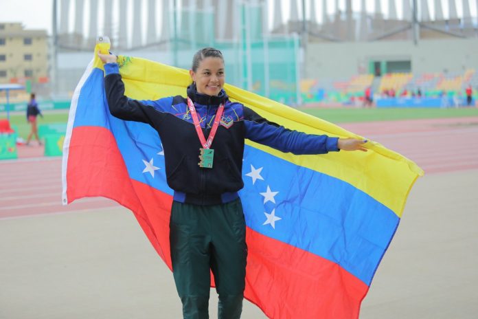 Peinado con bandiera del Venezuela
