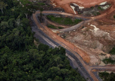 Deforestazione nella foresta amazzonica