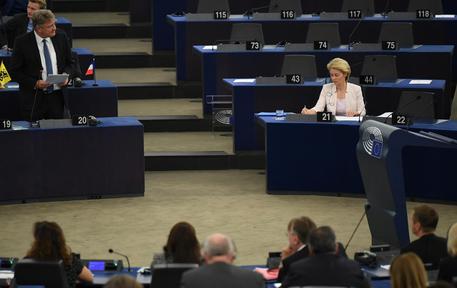 Joerg Meuthen (parla con Ursula von der Leyen durante la votazione per l'elezione del Commissario Ue.