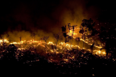 Incendio nell'Amazzonia