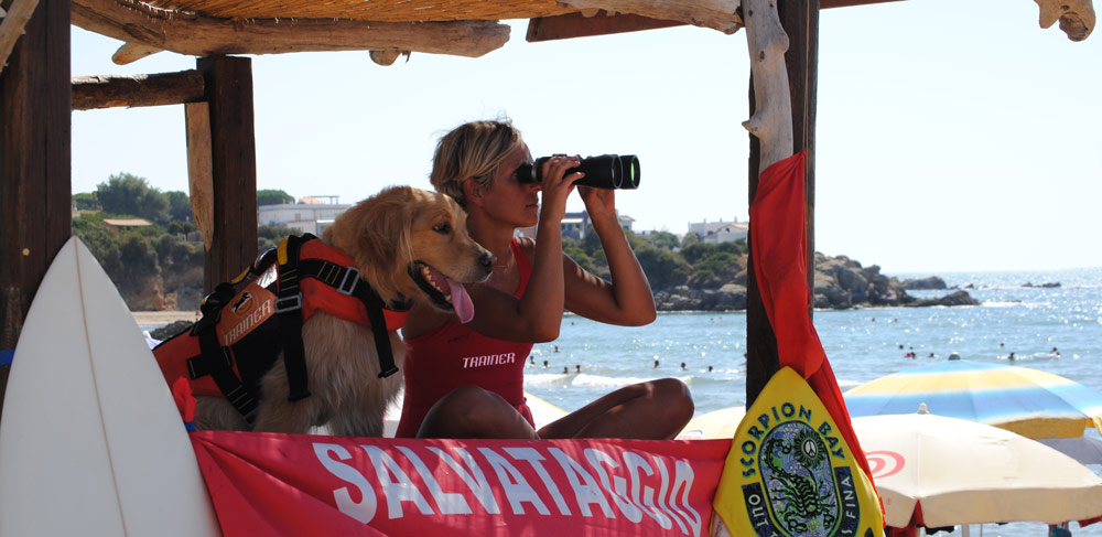 Uno dei cani bagnino pronto all'opera sulla spiaggia di Castel Porziano.