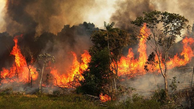 Venezuela ofrece cooperación en incendios de la Amazonia (Audio Noticia) -  La Voce d'Italia