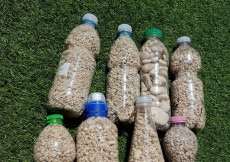 Bottiglie di plastica ripiene di sabbia-ricordo delle spiagge della Sardegna sequestrate.