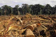 Una zona deforestata nell'Amazzonia,.